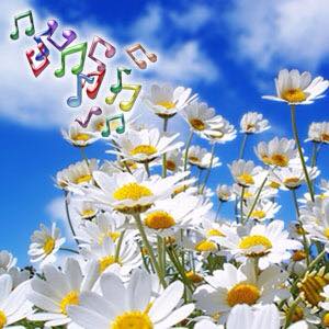 Musica y Flores